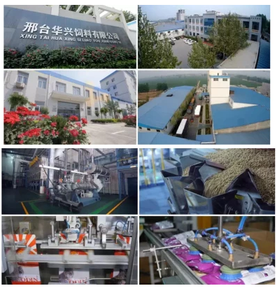 【正品】力狼猫粮10kg折耳英短流浪猫全阶段通用鱼味<a href=