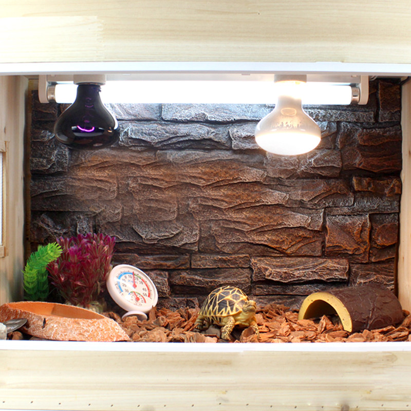 爬虫陆龟蜥蜴uva夜间加热灯泡爬虫灯宠物加温取暖月光夜灯25w,淘宝优惠券,粉丝福利购,淘宝优惠卷