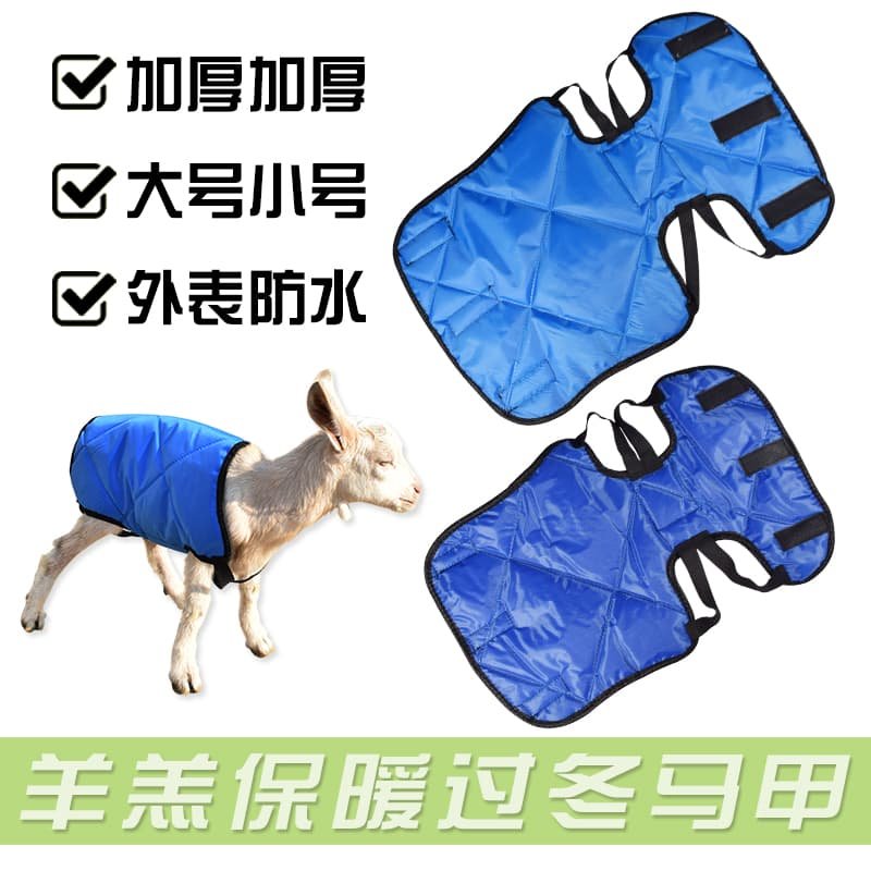 加厚新生小羊马甲保暖衣防寒护肚子羊羔马甲小羊羔衣服加绒保暖服,淘宝优惠券,粉丝福利购,淘宝优惠卷