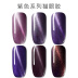 Sơn móng tay nhựa móng tay chuyên dụng Bộ móng tay đầy đủ bộ móng tay màu tím mắt mèo 2019 màu thời trang mới - Sơn móng tay / Móng tay và móng chân sơn gel lạnh Sơn móng tay / Móng tay và móng chân