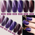 Sơn móng tay nhựa móng tay chuyên dụng Bộ móng tay đầy đủ bộ móng tay màu tím mắt mèo 2019 màu thời trang mới - Sơn móng tay / Móng tay và móng chân sơn gel lạnh Sơn móng tay / Móng tay và móng chân