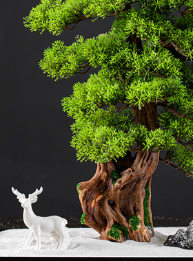 迎客松盆栽崖柏禅意风装饰摆件