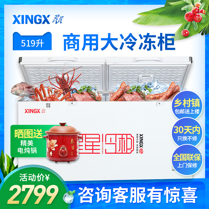 XINGX/星星 BD/BC-519E 大冰櫃商用冷櫃大型冷凍冷藏臥式單溫雪櫃