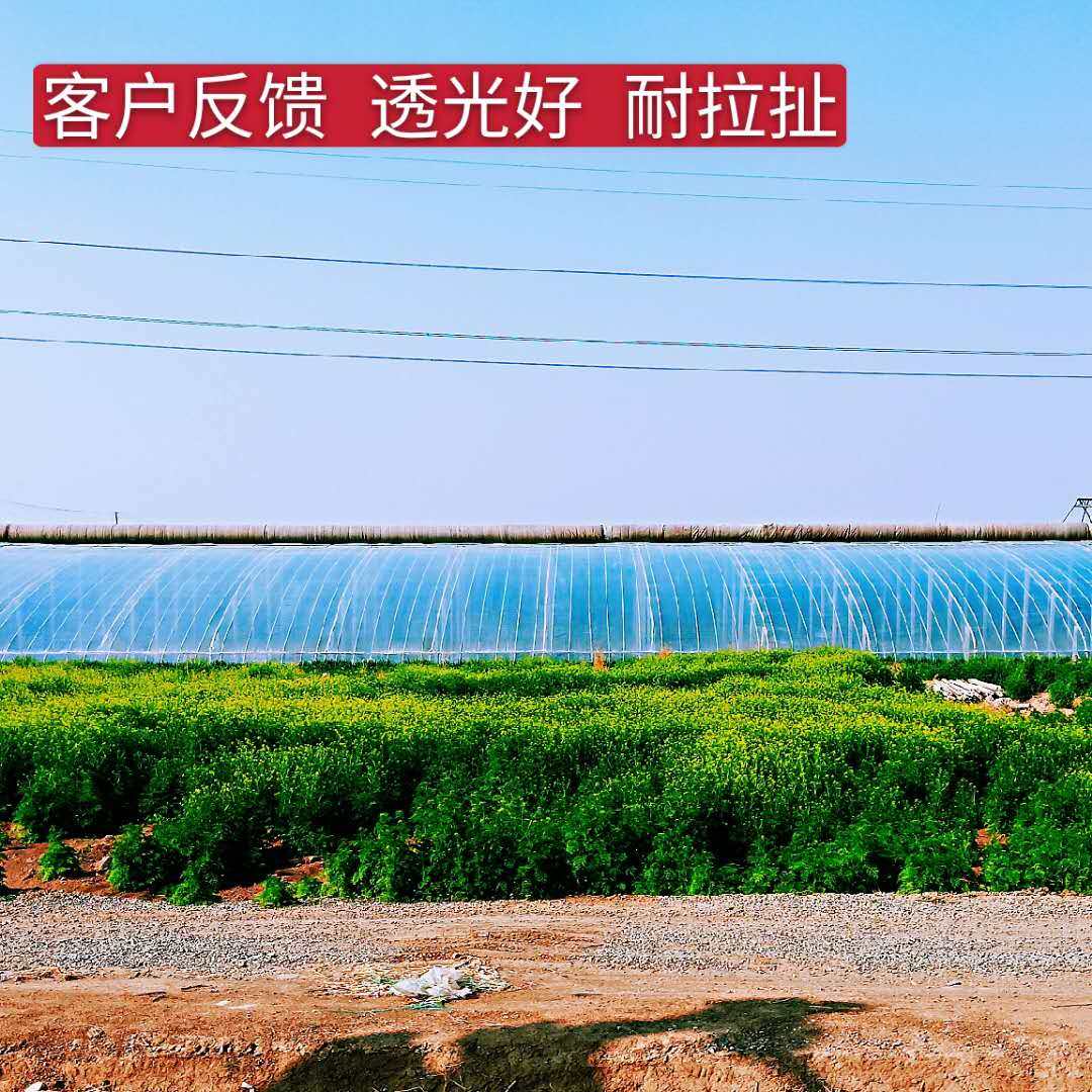 蔬菜大棚膜进口黑白膜塑料布棚膜 加厚薄膜po膜 养殖膜 无滴膜,淘宝优惠券,粉丝福利购,淘宝优惠卷