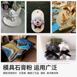 Гипсовая порошка высокая модель ароматерапевтическая гипсовая порошка DIY DIY Ручная сцена искусство Специальная скульптура Материал формы