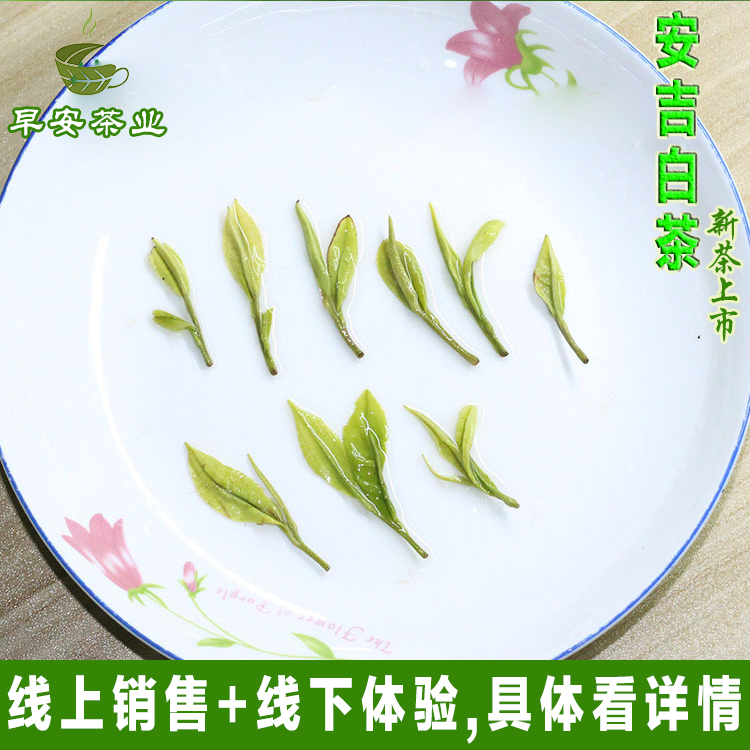 安吉白茶2023年新茶叶绿茶明前一级一芽两叶正宗散装散茶普惠口粮 - 图0