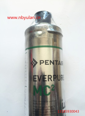 爱惠浦净水器 mc2 滤芯   Everpure EV961256 MC2 生饮水滤芯
