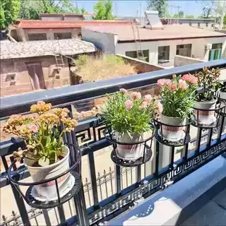 栏杆悬挂花架 铁艺阳台多肉花盆置物架,淘宝优惠券,粉丝福利购,淘宝优惠卷