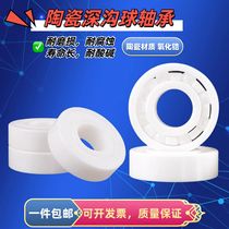 Zirconia full ceramic bearing high temperature 60860006001 60860006001 6002 6002 6200 6200 6204 6204 6206