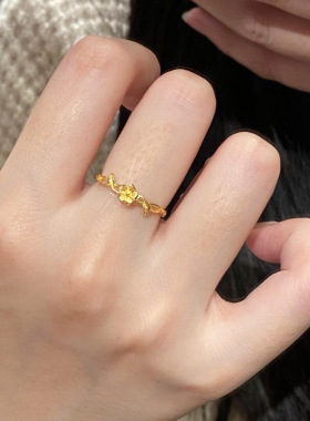 钛钢高保色甜美气质戒指