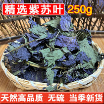 Purple Suleaf Chinese herbal medicine 250g grams of natural sulphur-free spices to eat fresh dried goods Suleaves back to sutea water