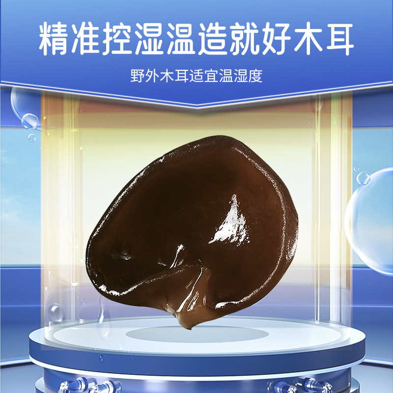  樟子松黑木耳
