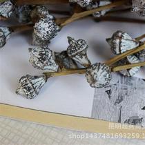 ten Carat Star Anise Plum Eucalyptus Fruit Yugali Fruit Raw Material