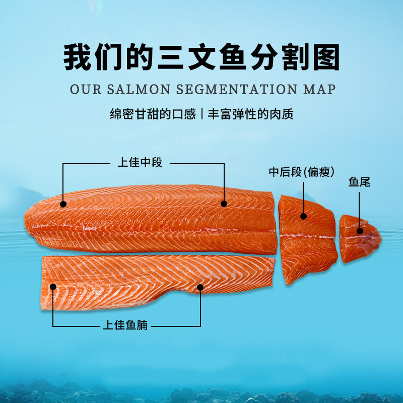 怡鲜来冰鲜三文鱼腰段偏瘦新鲜切片 怡鲜来三文鱼