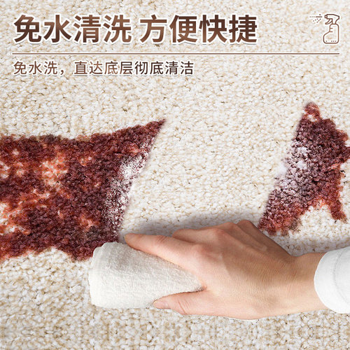 夏阳酒店专用地毯干洗剂去除油污垢免水洗清洁剂除味商用低泡易洁 - 图0