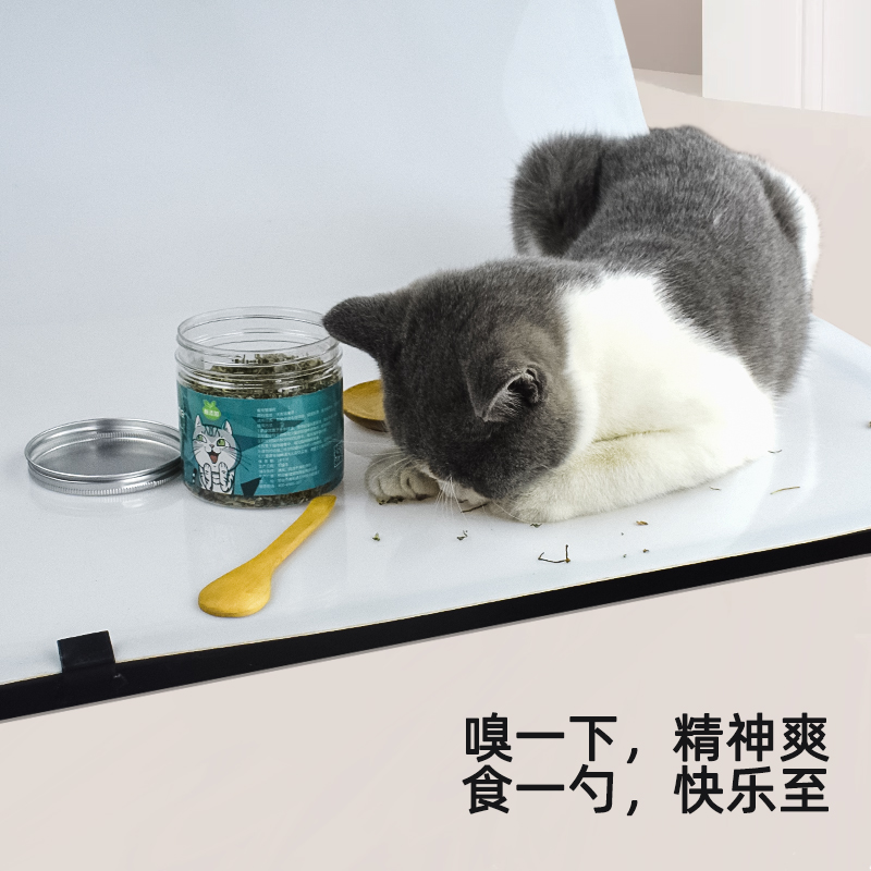 雀宠猫咪零食猫草猫薄荷350ml 热品库 性价比省钱购 雀宠猫咪零食猫草猫薄荷350ml 热品库 性价比省钱购
