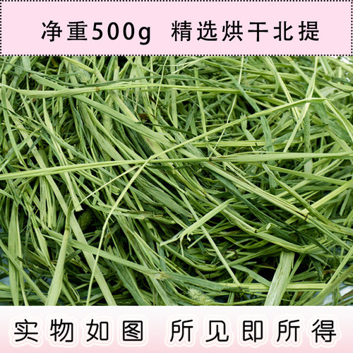 提摩西草2026年头茬暖棚南提嫩苗烘烤提草北提兔子磨牙健肠胃牧草 - 图1