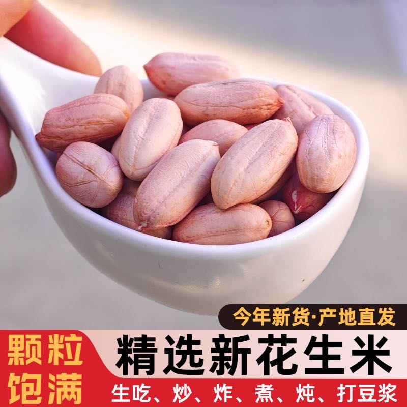 2023年山东新鲜特大粒花生米精选大颗粒生花生粉红皮特级长粒花生 - 图3