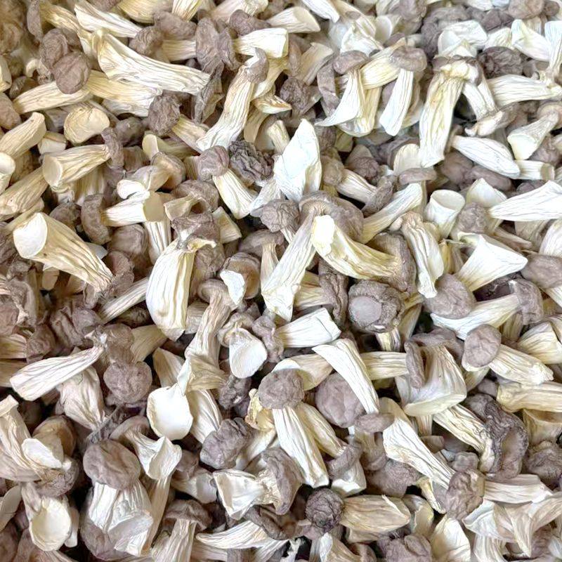 长寿菇干货 非新鲜香菇云南菌菇山珍美食农产品云南野生菌菇滋补,淘宝优惠券,粉丝福利购,淘宝优惠卷