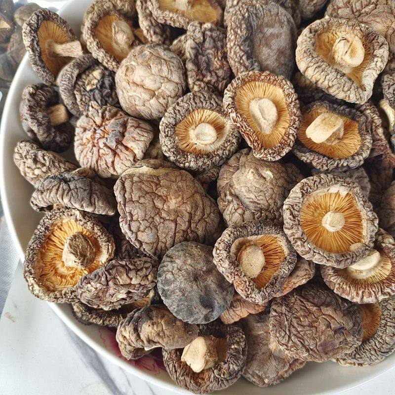 高原香菇干货 云南山珍美食用农产品肉厚浓郁非特级菇味浓新货,淘宝优惠券,粉丝福利购,淘宝优惠卷