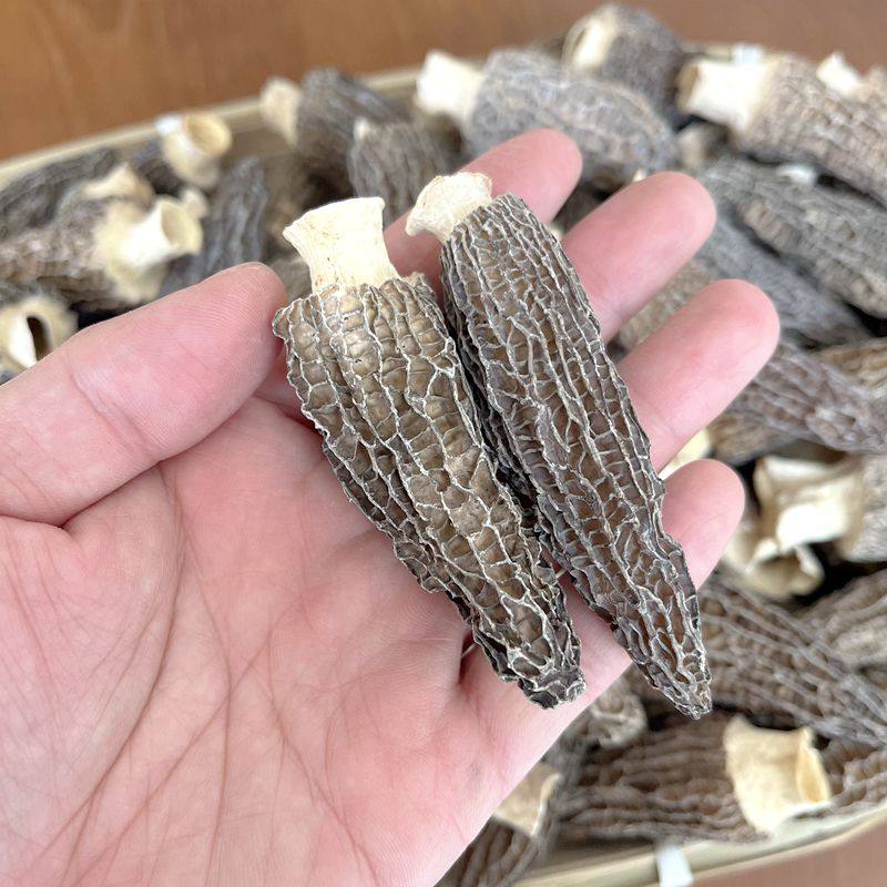 羊肚菌干货肉厚 云南山珍煲汤食材礼盒非新鲜特级野生云南菌子,淘宝优惠券,粉丝福利购,淘宝优惠卷