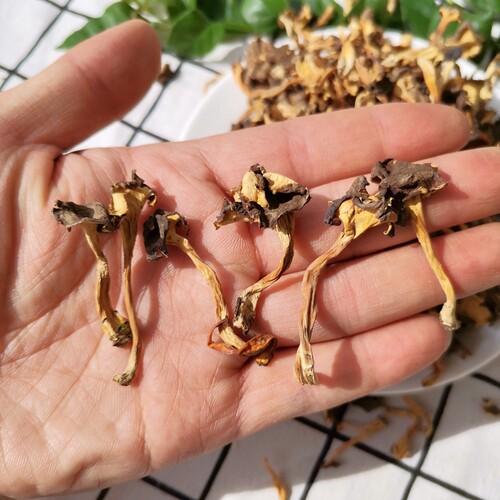 野生桂花菌干货 云南100g山珍特产香味浓郁鸡油菌美食材食用菌 - 图2
