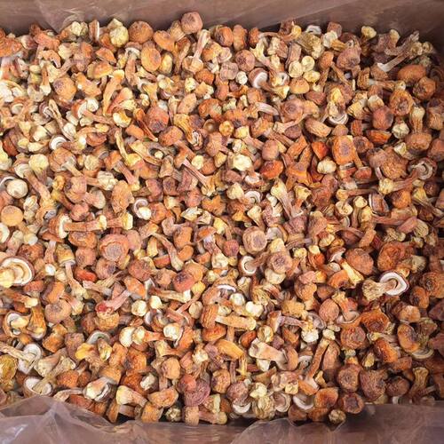姬松茸干货 250g精选无碎非新鲜山珍蘑菇精品无硫熏正品云南菌子 - 图0