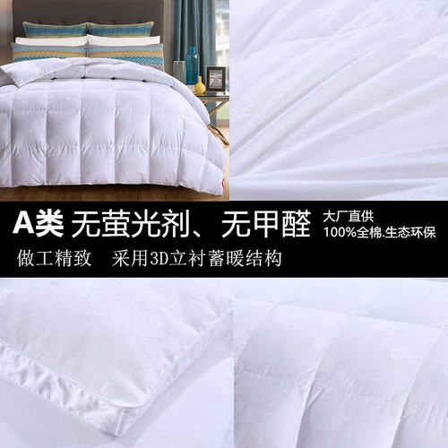 定做羽绒被旧羽绒服翻新加工羽绒被95白鹅绒冬被芯加厚保暖春秋被 - 图0