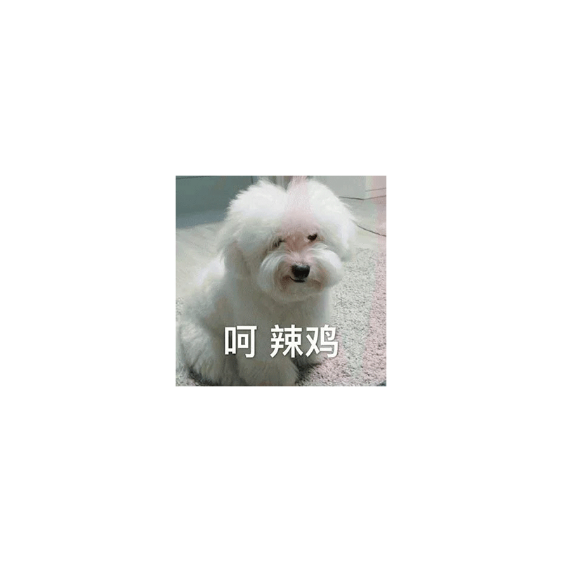 萌犬表情包搞笑狗狗柴犬二哈动态表情图片沙雕可爱聊天斗图精选图