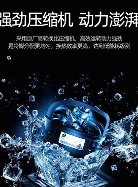 乐创立式双开门保鲜啤酒展示柜