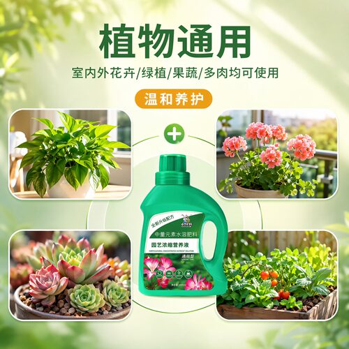 中古植物营养液通用型花肥料室内水培盆栽多肉花卉绿植绿萝通用型 - 图1