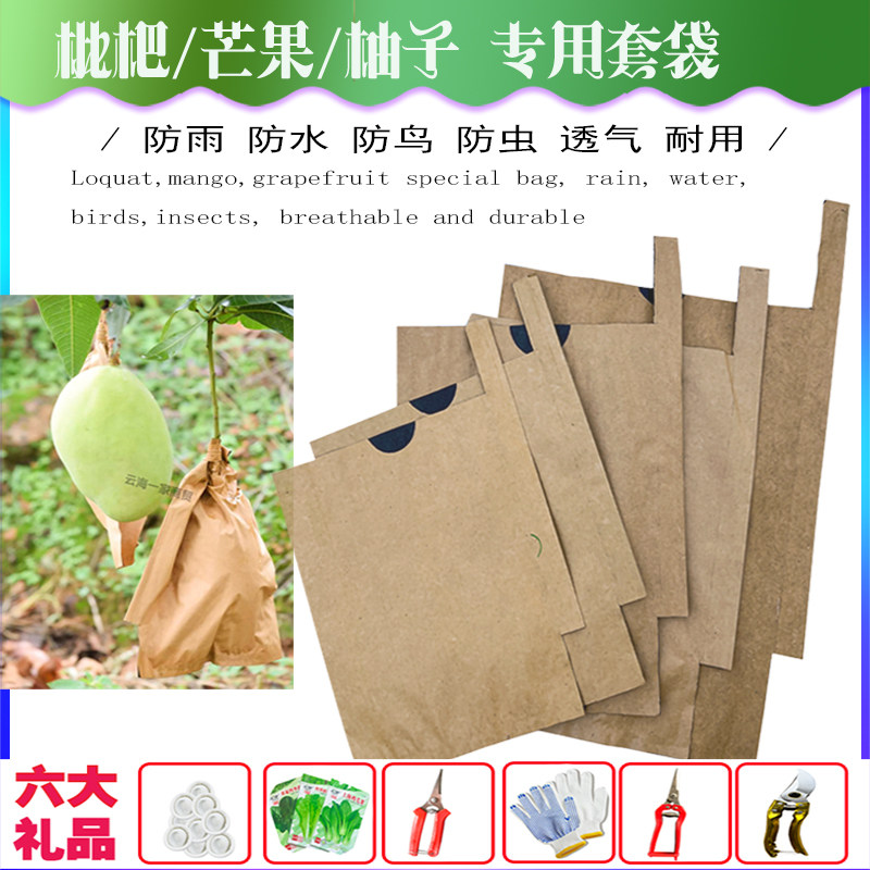 芒果专用套袋大金煌青芒鹰嘴芒柚子象牙芒防雨水防虫青芒枇杷套袋