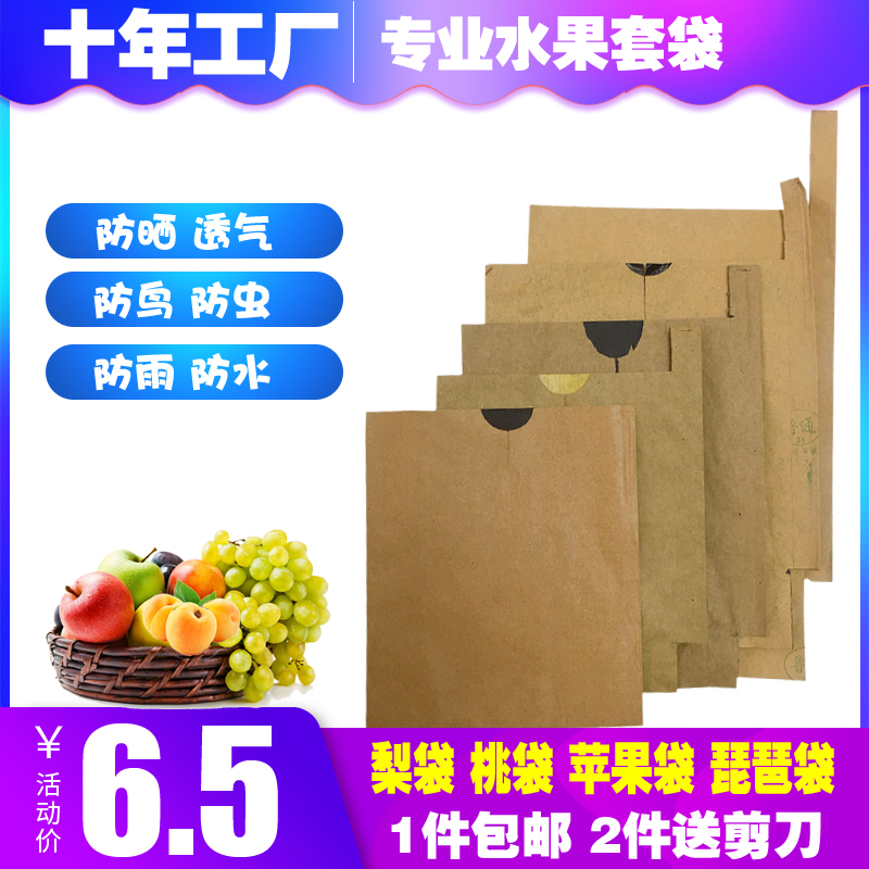 梨子套袋黄金梨苹果黄桃子石榴防雨水晚秋黄梨秋月梨枇杷专用套袋 - 图0