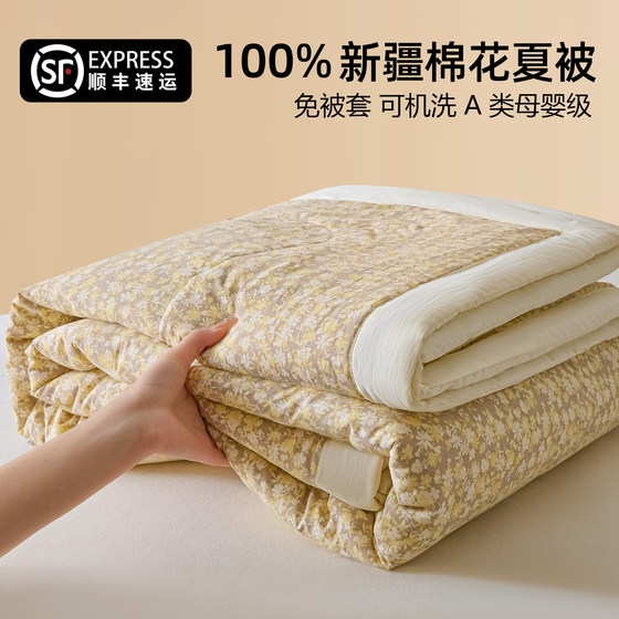 Class A summer quilt Xinjiang cotton quilt 100% cotton summer cool quilt