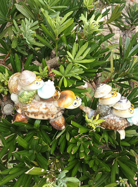 热卖天然海螺贝壳工艺品三角板