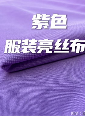 紫色制衣服亮丝布针织面料