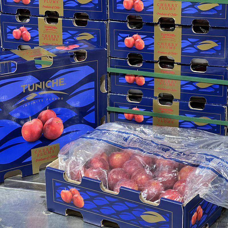 智利进口樱桃李新鲜当季水果5斤礼盒脆甜李子顺丰北京发,淘宝优惠券,粉丝福利购,淘宝优惠卷