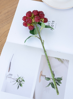 仿真植物树莓果子假花餐桌摆件