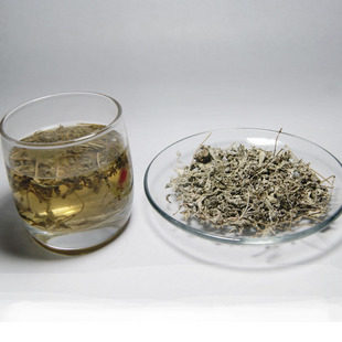 土茶苗 盆栽植物 藤茶苗 莓茶 龙须茶 显齿蛇葡萄 福建客家三明 - 图1