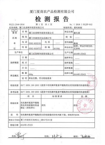 西餐厅配送沙拉凉拌新鲜蔬菜 红叶生菜 罗莎红珊瑚 紫叶生菜 250g - 图2