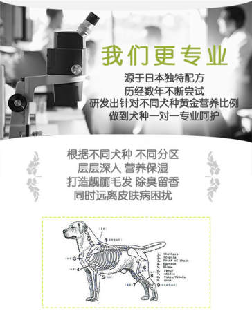 american bully shampoo