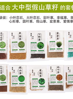 吸水石专用草籽景观鱼缸装饰摆件