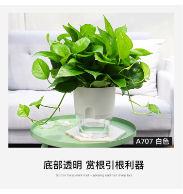 透明花盆双层绿萝盆自动吸水懒人塑料加厚花盆室内桌面创意储水盆 虎窝淘