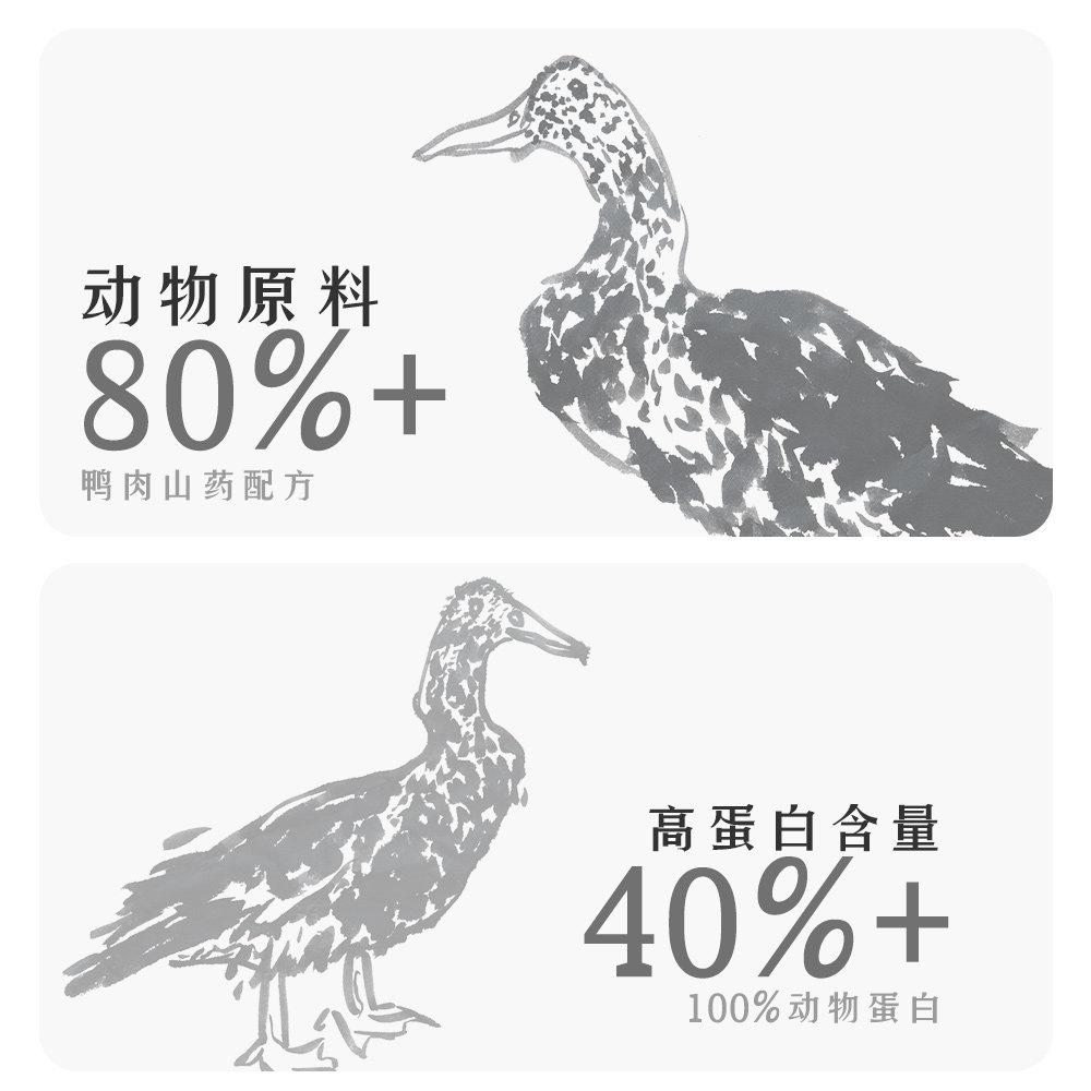 【黑氏】暖鸭泥根鸭肉山药烘焙无谷高蛋白长肉猫粮,淘宝优惠券,粉丝福利购,淘宝优惠卷