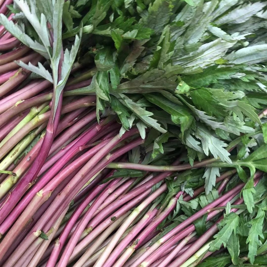 新鲜纯野生芦蒿红蒿红茎黎蒿嫩蒿子泥蒿藜蒿带叶露天南京野菜蔬菜,淘宝优惠券,粉丝福利购,淘宝优惠卷