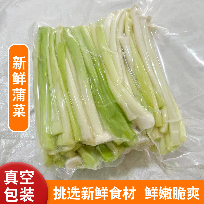 新鲜野生蒲菜蒲白时令野菜淮安特产现摘现发蒲笋蒲儿菜净菜 - 图2