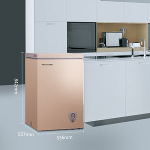 海信100L升小冰柜家用小型冷柜1级节能迷你冷藏冷冻两用囤货冰箱