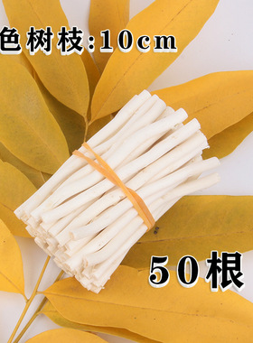 幼儿园圆木片干树枝小手工diy美工区低结构区域边角料原木片树枝
