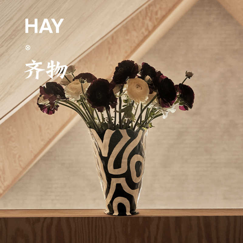 Vase花瓶北欧 新人首单立减十元 22年5月 淘宝海外