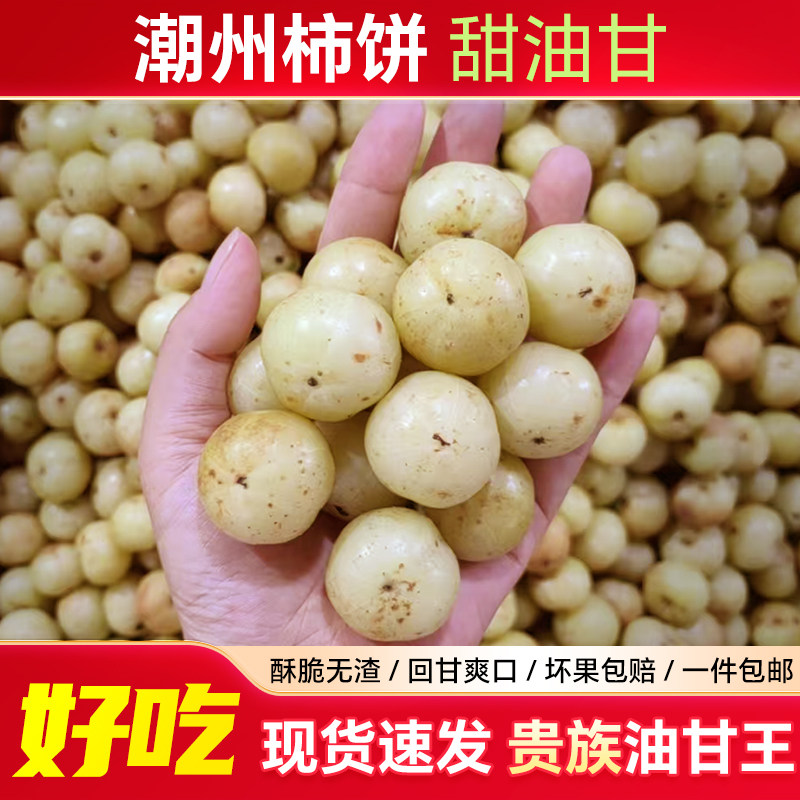 正宗潮州柿饼甜油甘新鲜油甘果余甘牛甘鲜果孕妇水果滇橄榄崩砍,淘宝优惠券,粉丝福利购,淘宝优惠卷